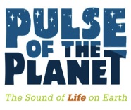Pulse of the Planet